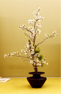 ikebana_photo02